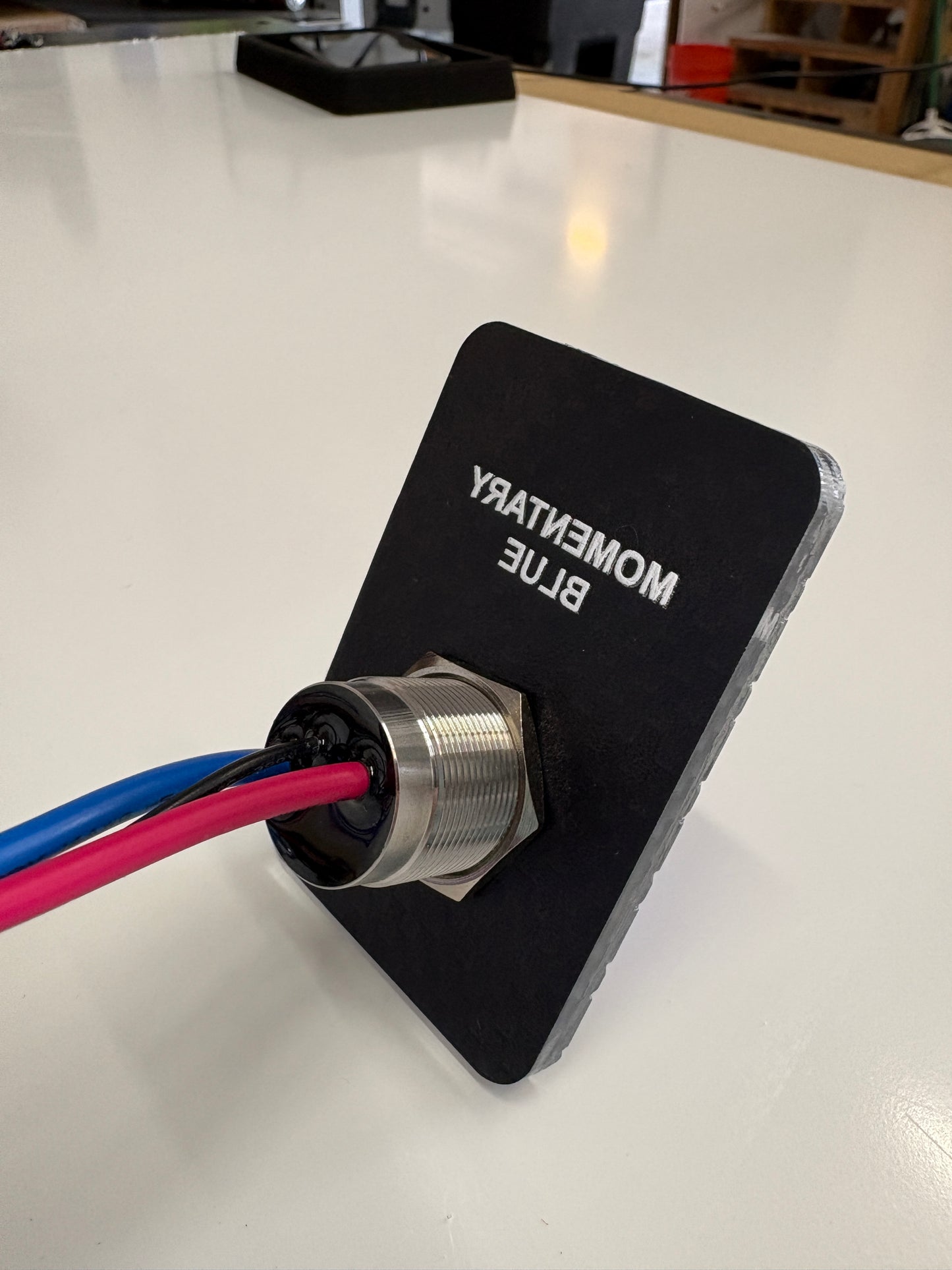 22 MM 3/4 Threaded Barrel Switch Blue (Momentary)